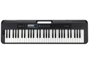 CASIO-1 CASIO CT-S300