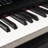 ORLA PF300 Black