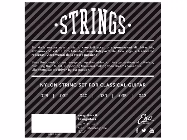 cordeeko-2 EKO Electric Guitar Strings 10-46 Regular