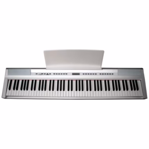 sp-1 ECHORD SP10 WHITE